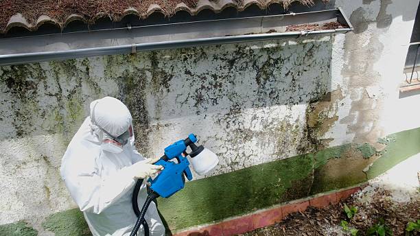 Top rated local Commercial Mold Remediation specialists in Fulton, MD
